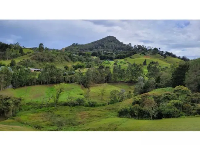 Finca en venta en El Higueron, Rionegro, 26352 m² · foto 16 de 23