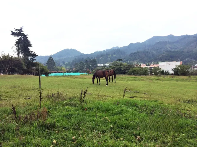 Lote en venta en El Retiro, 8003 m² · foto 9 de 13