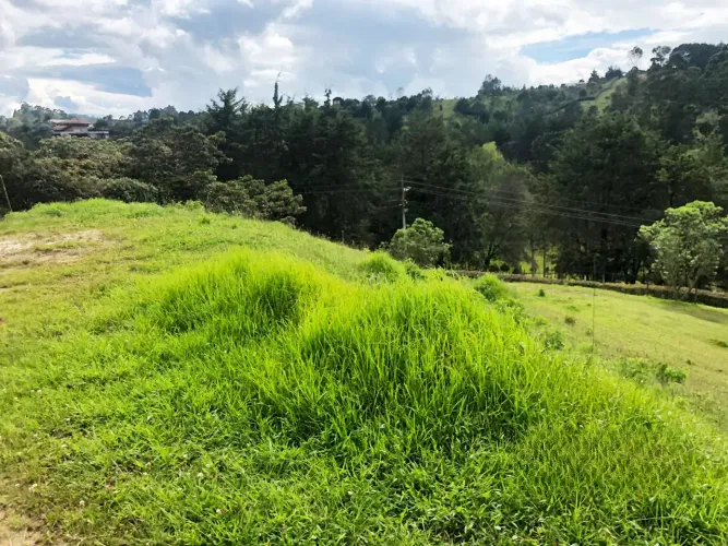 Lote en venta en Pantanillo, El Retiro, 3654 m² · foto 5 de 11