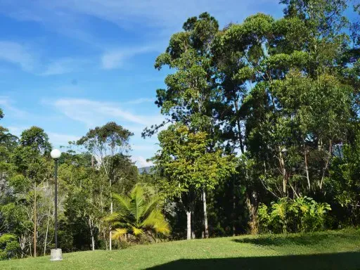 Casa de 6 alcobas en venta en Quirama, El Carmen de Viboral · foto 6 de 24