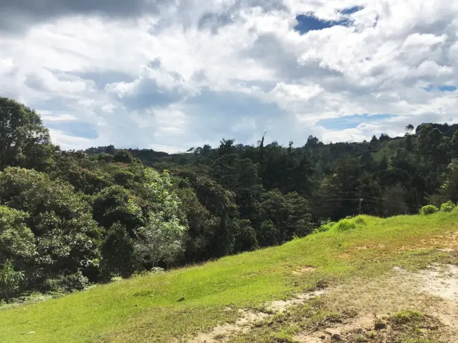 Lote en venta en Pantanillo, El Retiro, 3654 m² · foto 8 de 11