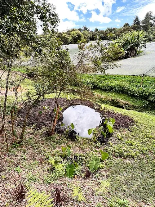 Lote en venta en So�Adora, El Carmen de Viboral, 3340 m² · foto 6 de 10