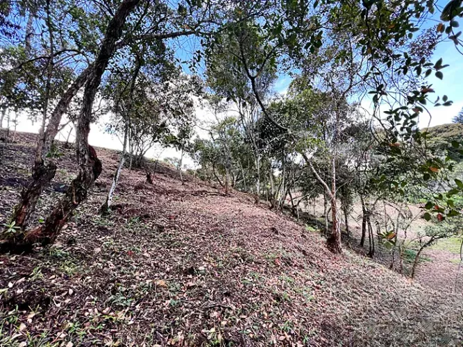 Lote en venta en So�Adora, El Carmen de Viboral, 3340 m² · foto 7 de 10