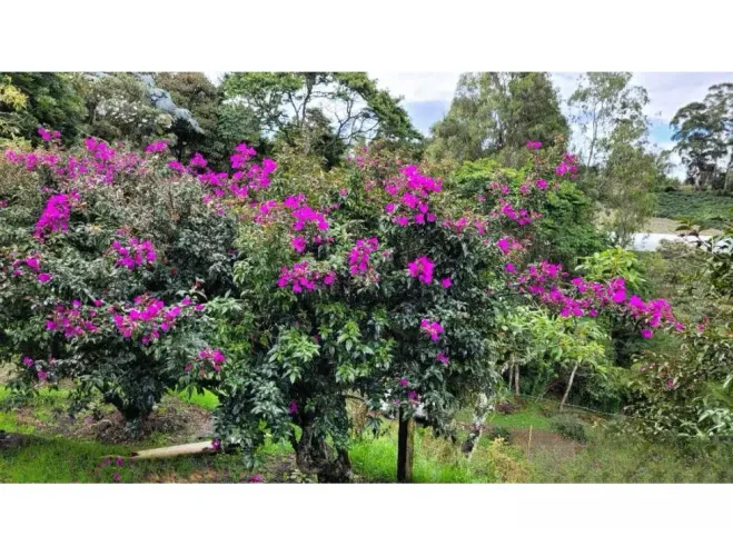 Finca en venta en El Higueron, Rionegro, 26352 m² · foto 23 de 23
