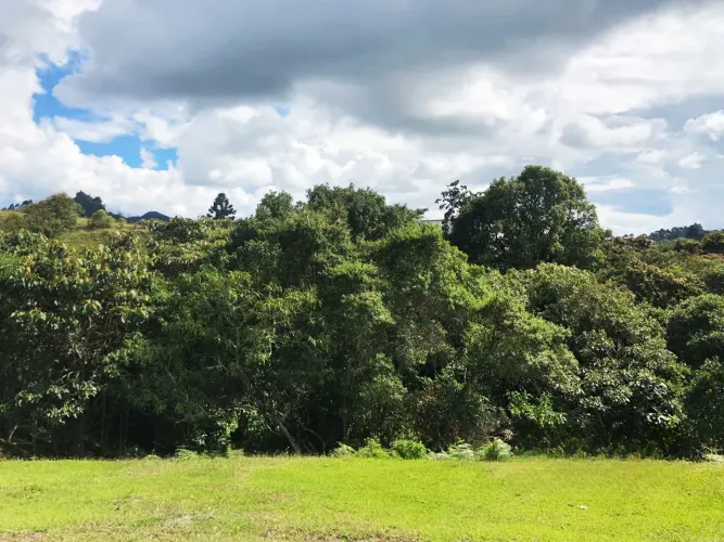 Lote en venta en Pantanillo, El Retiro, 3654 m² · foto 10 de 11