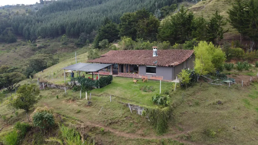 Finca en venta en La Luz, El Retiro, 30000 m² · foto 5 de 22