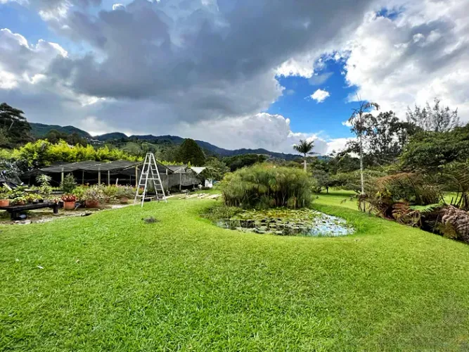 Finca en venta en Los Salados, El Retiro, 12660 m² · foto 7 de 24