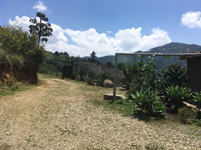 Finca en venta en La Luz, El Retiro, 30000 m² · foto 8 de 22