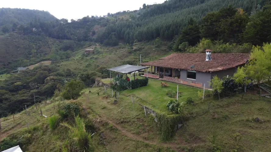 Finca en venta en La Luz, El Retiro, 30000 m² · foto 9 de 22