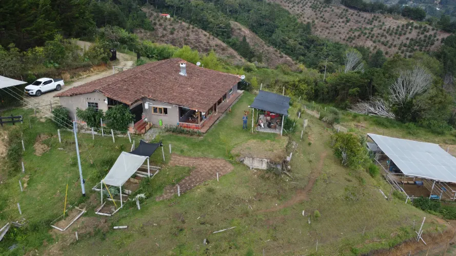Finca en venta en La Luz, El Retiro, 30000 m² · foto 11 de 22