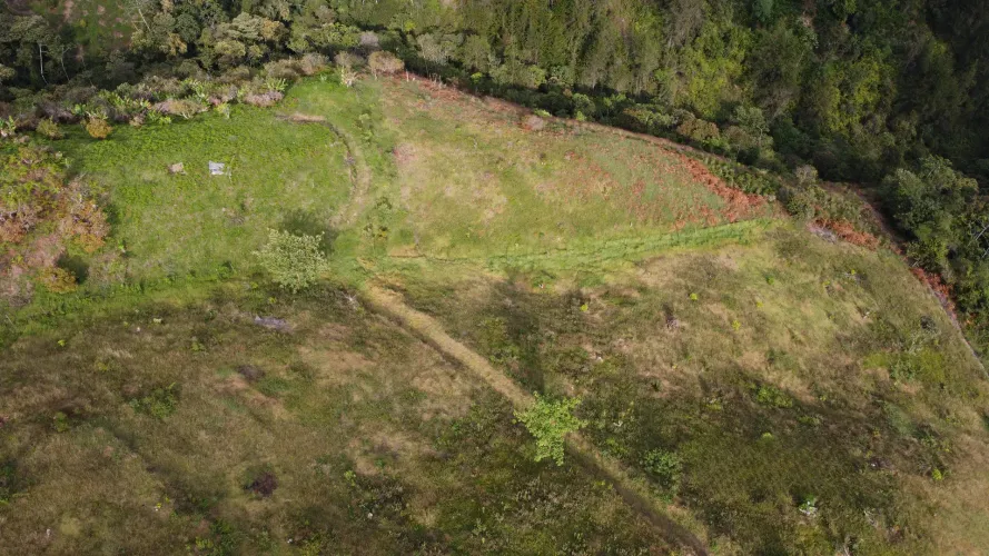 Finca en venta en La Luz, El Retiro, 30000 m² · foto 15 de 22