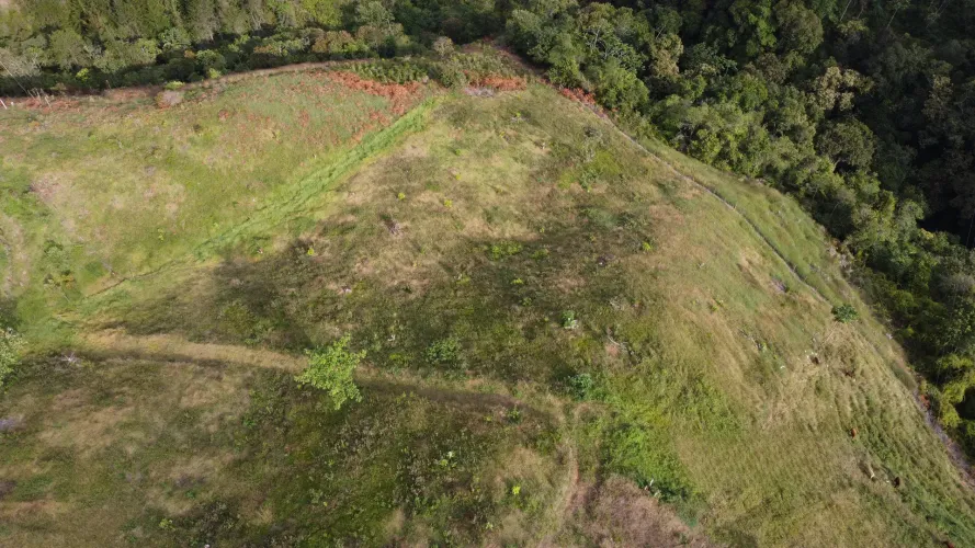 Finca en venta en La Luz, El Retiro, 30000 m² · foto 18 de 22
