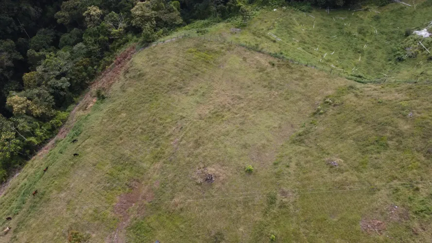 Finca en venta en La Luz, El Retiro, 30000 m² · foto 19 de 22