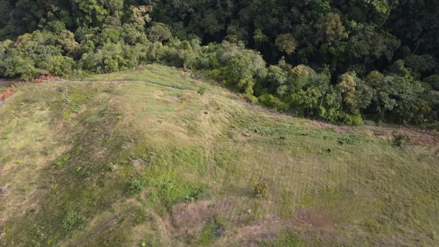 Finca en venta en La Luz, El Retiro, 30000 m² · foto 21 de 22