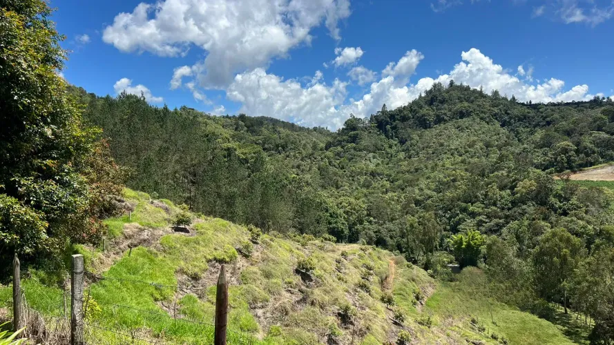 Finca en venta en Pantanillo, El Retiro, 26 m² · foto 3 de 24