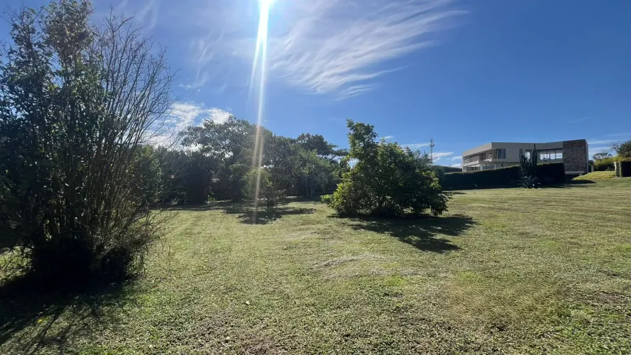 Lote en venta en Lomitas, La Ceja, 2500 m² · foto 6 de 12