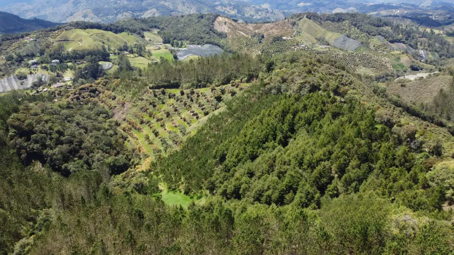 Finca en venta en Pantanillo, El Retiro, 26 m² · foto 4 de 24