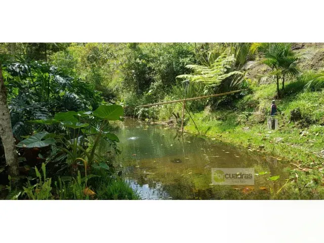 Casa de 4 alcobas en venta en Rionegro · foto 10 de 16