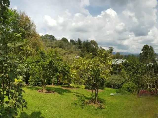 Casa de 4 alcobas en venta en Rionegro · foto 11 de 16