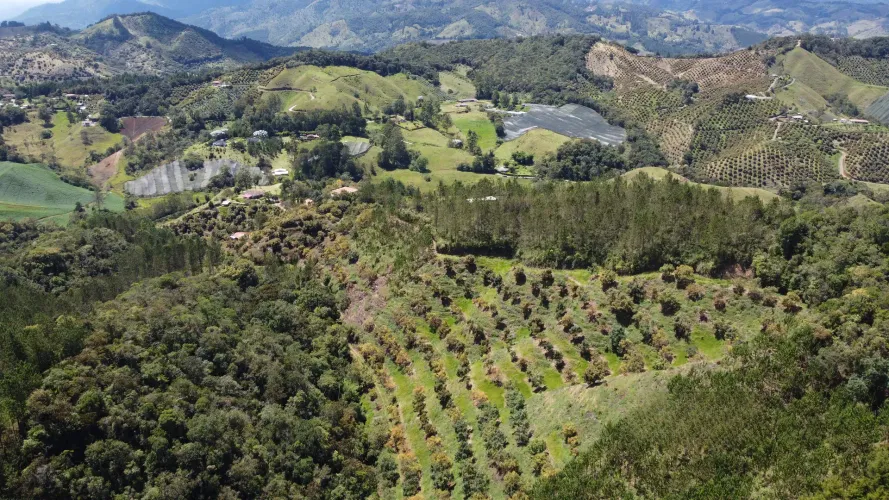 Finca en venta en Pantanillo, El Retiro, 26 m² · foto 5 de 24