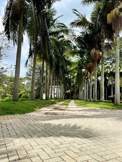 Finca en venta en Llano Grande, Rionegro, 10826 m² · foto 17 de 18