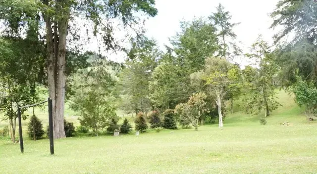 Finca en venta en Vía Las Palmas, El Retiro, 64000 m² · foto 6 de 23
