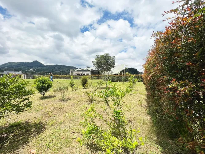 Lote en venta en El Carmen de Viboral, 3522 m² · foto 6 de 10