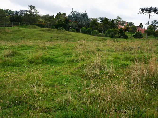 Lote en venta en Vía Las Palmas, Envigado, 3500 m² · foto 6 de 6
