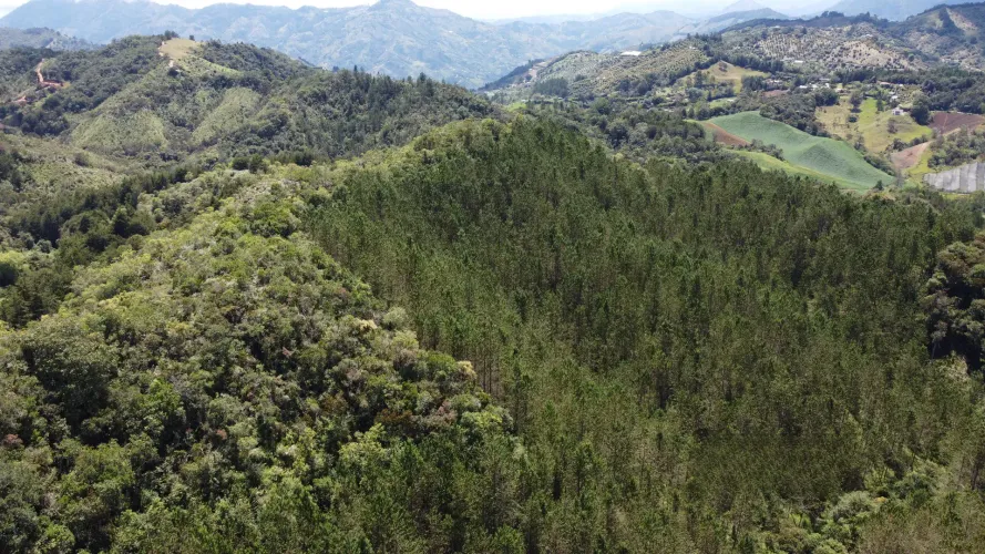 Finca en venta en Pantanillo, El Retiro, 26 m² · foto 17 de 24