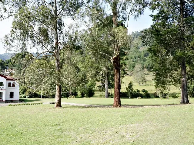 Finca en venta en Vía Las Palmas, El Retiro, 64000 m² · foto 14 de 23