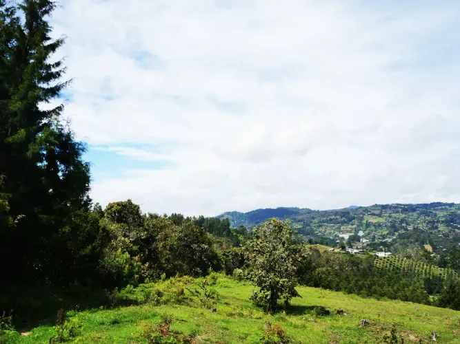Lote en venta en El Molino, Guarne, 24095 m² · foto 2 de 11
