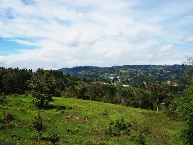 Lote en venta en El Molino, Guarne, 24095 m² · foto 3 de 11