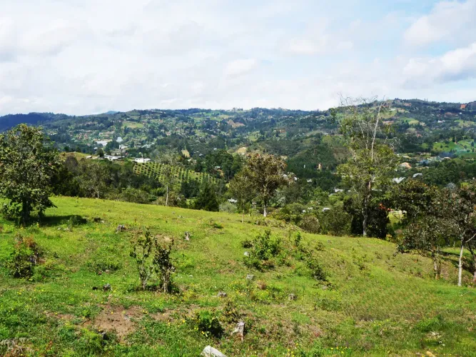 Lote en venta en El Molino, Guarne, 24095 m² · foto 4 de 11