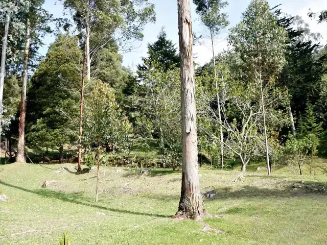 Finca en venta en Vía Las Palmas, El Retiro, 64000 m² · foto 17 de 23