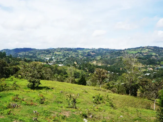 Lote en venta en El Molino, Guarne, 24095 m² · foto 6 de 11