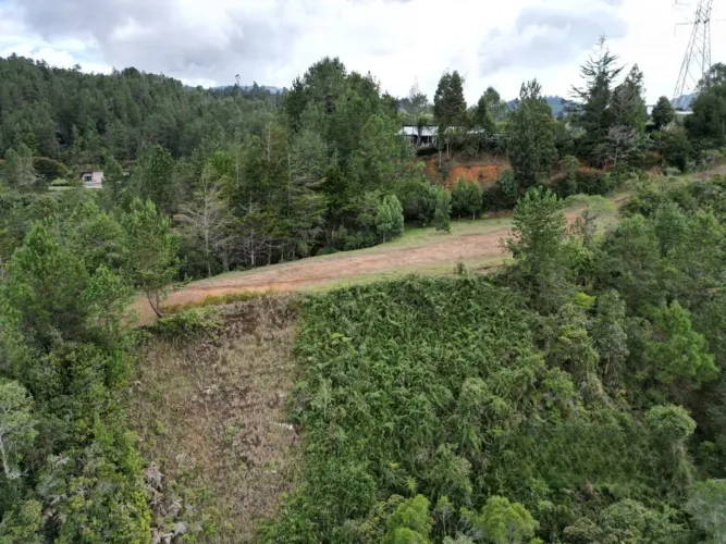 Lote en venta en Los Salados, El Retiro, 11646 m² · foto 2 de 8