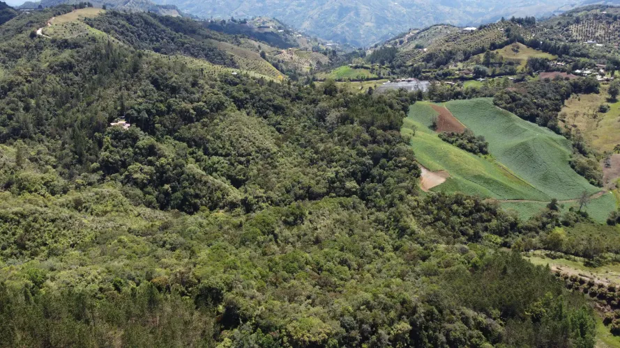 Finca en venta en Pantanillo, El Retiro, 26 m² · foto 22 de 24