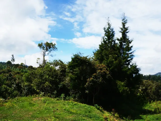 Lote en venta en El Molino, Guarne, 24095 m² · foto 7 de 11