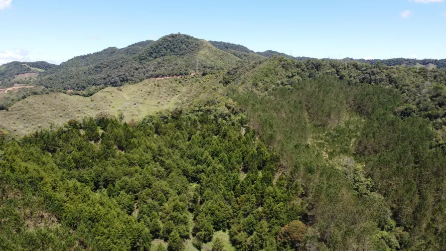 Finca en venta en Pantanillo, El Retiro, 26 m² · foto 23 de 24