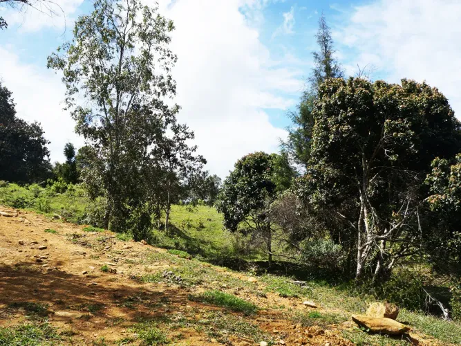 Lote en venta en El Molino, Guarne, 24095 m² · foto 8 de 11