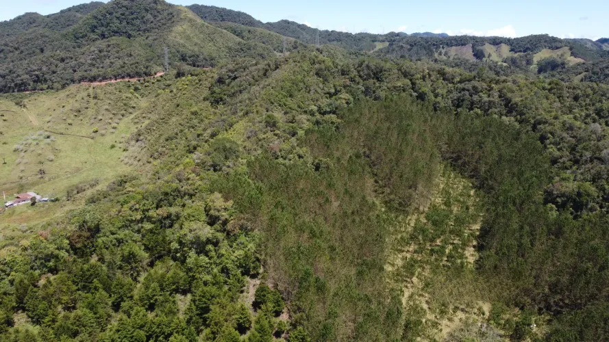 Finca en venta en Pantanillo, El Retiro, 26 m² · foto 24 de 24