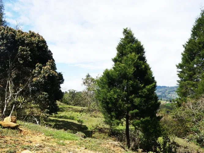 Lote en venta en El Molino, Guarne, 24095 m² · foto 9 de 11