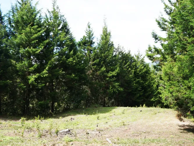 Lote en venta en El Molino, Guarne, 24095 m² · foto 11 de 11