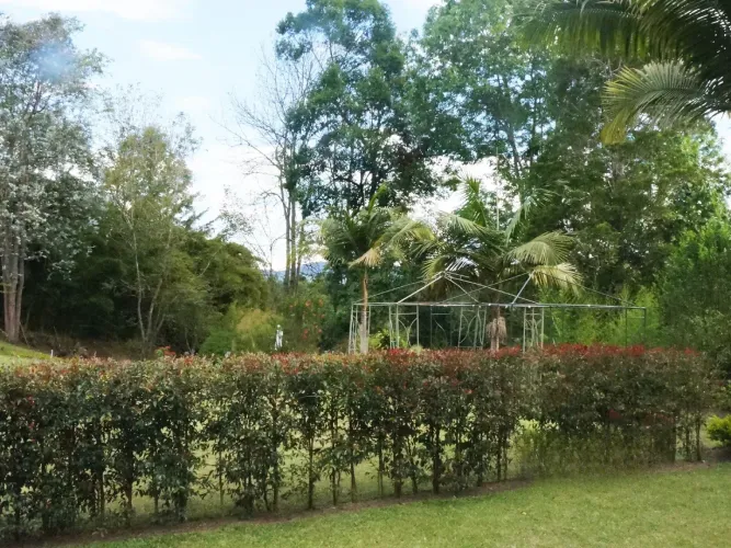 Finca en venta en Quirama, El Carmen de Viboral, 9905 m² · foto 7 de 24