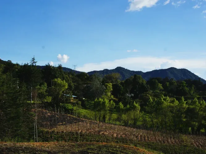 Lote en venta en La Sonadora, El Carmen de Viboral, 3500 m² · foto 4 de 6