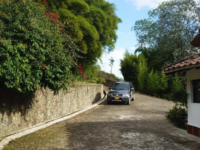 Finca en venta en Quirama, El Carmen de Viboral, 9905 m² · foto 10 de 24