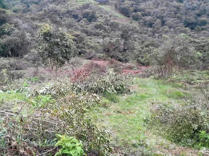 Lote en venta en Guarne · foto 2 de 8