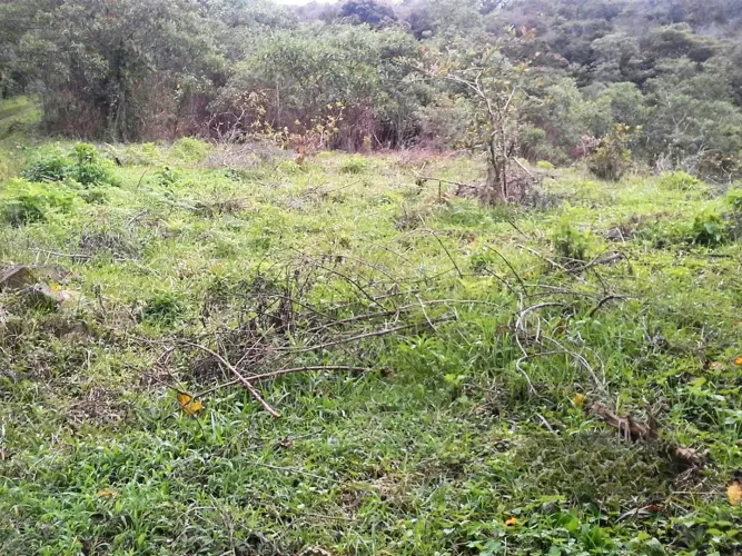 Lote en venta en Guarne · foto 4 de 8