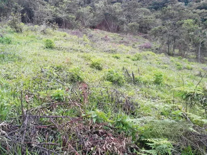 Lote en venta en Guarne · foto 5 de 8