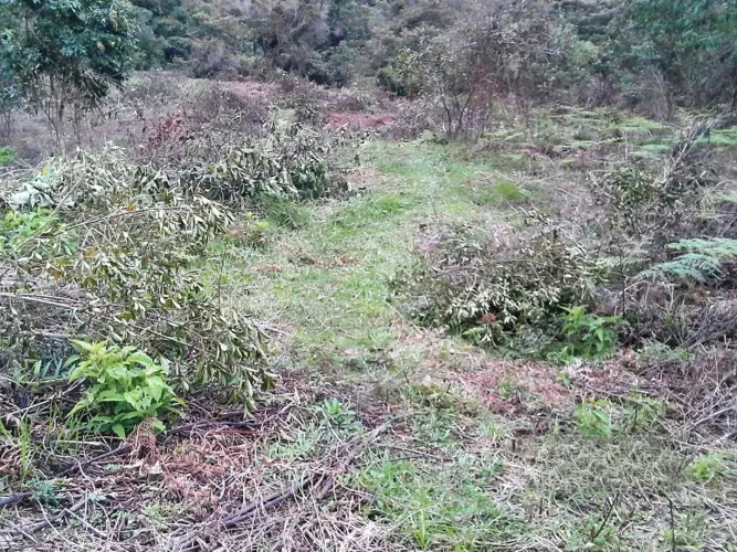 Lote en venta en Guarne · foto 6 de 8